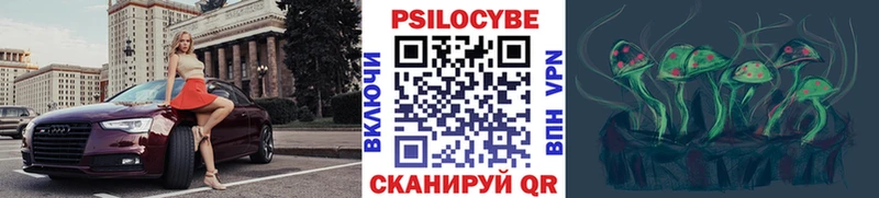 как найти наркотики  Буинск  Псилоцибиновые грибы Cubensis 